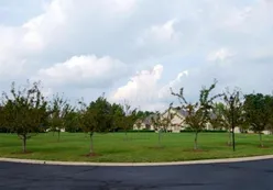 Natural Open Space