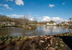 Scenic Pond
