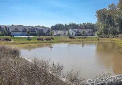 Pond