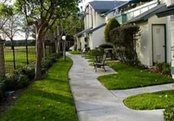 Beautiful Neighborhood