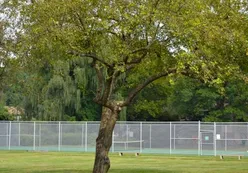 2 Tennis Courts