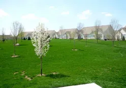 Parks & Natural Space