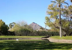 Scenic Ponds