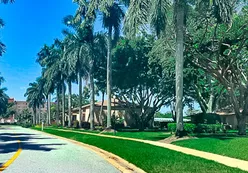 Tree-Lined Walking Paths