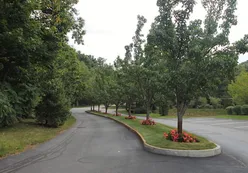 Tree-Lined Streets