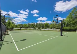 Basketball Court