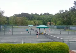 12 Har-Tru Tennis Courts