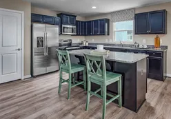 Elegant Kitchens