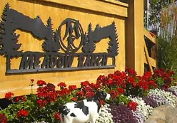 Community Sign