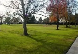 Park-like setting