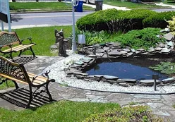 Parks & Natural Space