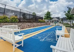 Shuffleboard Courts