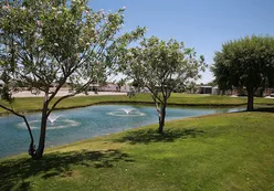 Scenic Pond