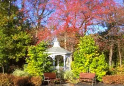 Gazebo 