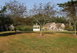 Gazebo and Park