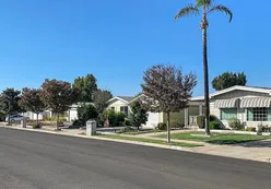 Single-Family & Attached Homes