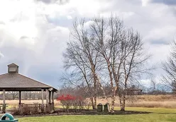 Natural Spaces