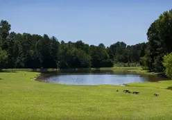 Scenic Ponds