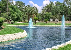 Water Features