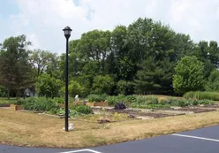 Community Garden