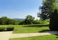 Natural Space