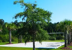 Sand Volleyball Court