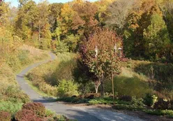 Walking Trails