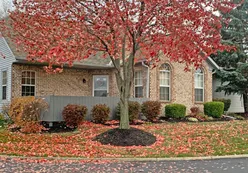 Attached Homes