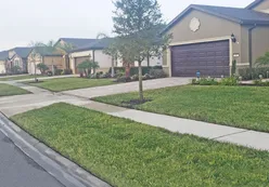 Single Family Homes