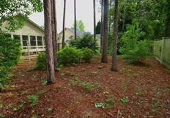 Lush Landscaping