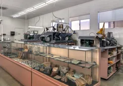 Golf Pro Shop