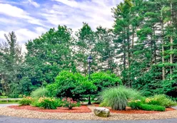 Lush Landscapes