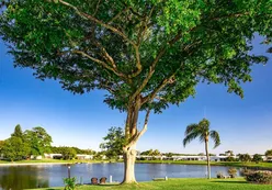 Scenic Ponds