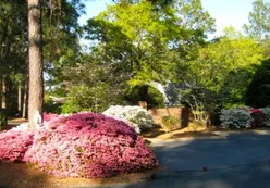 Lush Landscaping