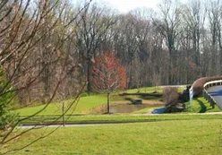 Scenic Pond