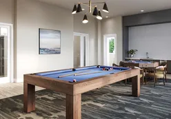 Billiards & Game Room