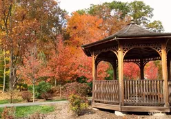 The Gazebo Garden