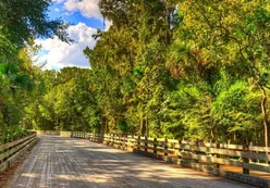 Scenic Walking Trails
