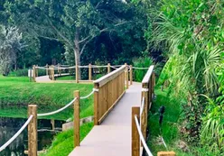 Walking Paths