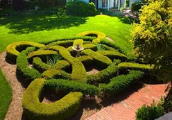 Beautiful Gardens