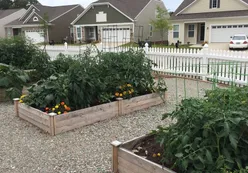 Garden Plots