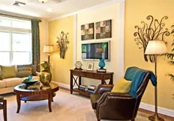 Sun-Drenched Living Rooms