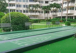 Shuffleboard Courts