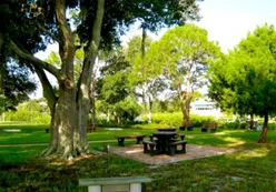 Picnic Area