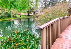Scenic Paths