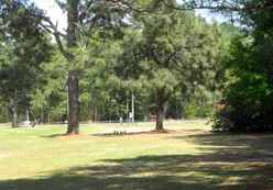 Knollwood Fairways & Driving Range