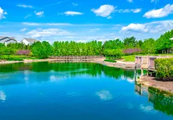 Scenic Pond