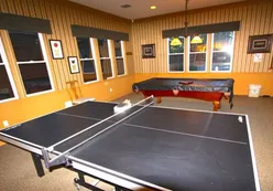 Table Tennis