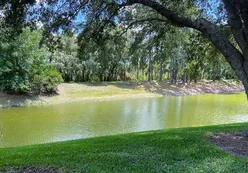 Scenic Ponds
