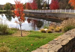 The Stonewall Garden